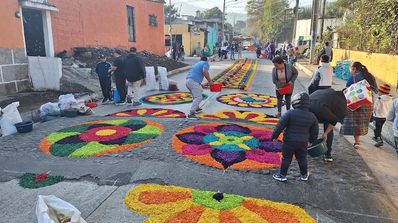 Si planeas viajar a la ciudad colonial, toma en cuenta que todo el casco urbano es peatonal. Por ello te compartimos los mapas peatonales y de parqueos para que no te cueste estacionar de forma segura.