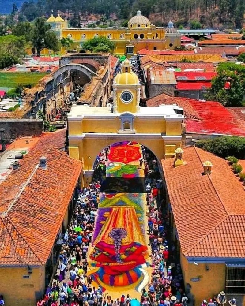 ¡Impresionante! Las jacarandas y los cortejos procesionales engalanaron la Antigua Guatemala