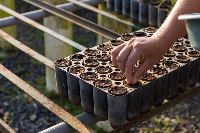 Progreso es líder en responsabilidad ambiental.